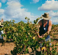 Torbreck Vintners - Accommodation Burleigh