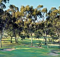Tanunda Pines Golf Club - Accommodation Burleigh