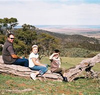 Bridle Track - Accommodation Burleigh