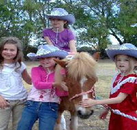 Amberainbow Pony Rides - Accommodation Burleigh