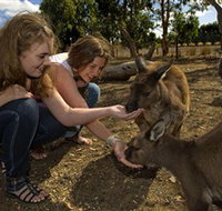 Kangaroo Island Wildlife Park - Accommodation Burleigh
