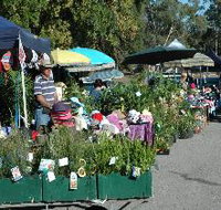 Meadows Monthly Market - Accommodation Burleigh
