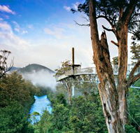 Tahune Adventures Tasmania - Accommodation Burleigh