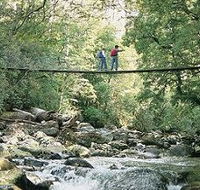 Arve Forest Drive - Accommodation Burleigh