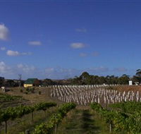 Deep Creek Wines and Alpacas - Accommodation Burleigh