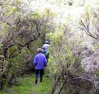 Jack And Hilda McArthur Walk - Accommodation Burleigh