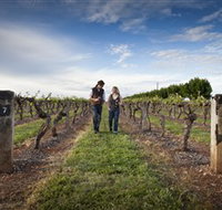 Coonawarra Wineries Walking Trail - Accommodation Burleigh