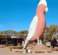 The Big Galah - Accommodation Burleigh