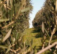 Evilo Estate - Accommodation Burleigh