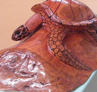 Ants Redgum Gallery - Accommodation Burleigh