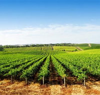 Aldinga Bay Winery - Accommodation Burleigh