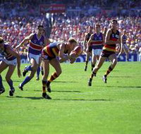 AAMI Stadium Tours - Accommodation Burleigh