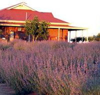 Bella Lavender Estate - Accommodation Burleigh