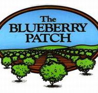 The Blueberry Patch - Accommodation Burleigh