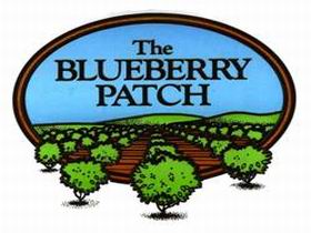 The Blueberry Patch - Accommodation Burleigh 0