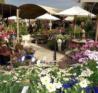 Serenity Nursery - Accommodation Burleigh