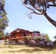 Barringwood Park Vineyard - Accommodation Burleigh