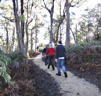 Bridport Walking Track - Accommodation Burleigh