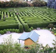 Westbury Maze and Tea Room - Accommodation Burleigh