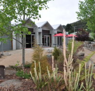 Tin Dragon Interpretation Centre and Cafe - Accommodation Burleigh