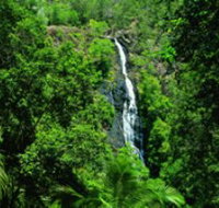 Kondalilla National Park - Accommodation Burleigh