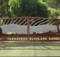 Tasmanian Bushland Garden - Accommodation Burleigh