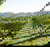Surveyor's Hill Vineyards - Accommodation Burleigh
