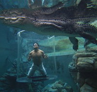 Crocosaurus Cove - Accommodation Burleigh