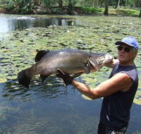 Barra Feeding - Accommodation Burleigh