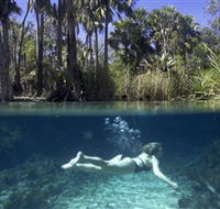 Bitter Springs - Accommodation Burleigh