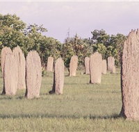 Magnetic Termite Mounds - Accommodation Burleigh