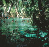 Mataranka Thermal Pool - Accommodation Burleigh