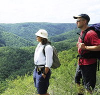 Sunshine Coast Hinterland Great Walk - Accommodation Burleigh
