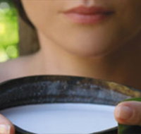 Ikatan Day Spa - Accommodation Burleigh