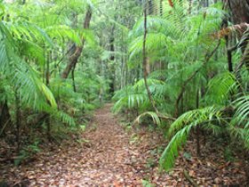 Mapleton QLD Accommodation Burleigh