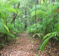 Delicia Road Conservation Park - Accommodation Burleigh