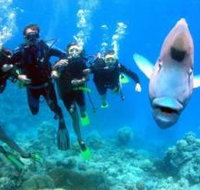 Magic Mountain Dive Site - Accommodation Burleigh
