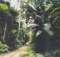 Conondale Great Walk - Accommodation Burleigh