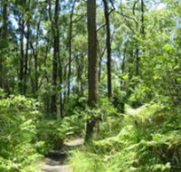 Mapleton Falls National Park - Accommodation Burleigh