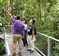 Daintree Discovery Centre - Accommodation Burleigh