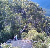 Mia Mia State Forest - Accommodation Burleigh