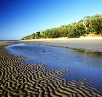 Burrum Coast National Park - Accommodation Burleigh