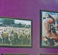 Charleville Photographic Display - Accommodation Burleigh