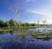 Tyto Wetlands - Accommodation Burleigh