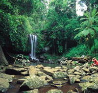 Tamborine National Park - Accommodation Burleigh