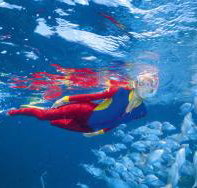 Outer Rocks Dive Site - Accommodation Burleigh