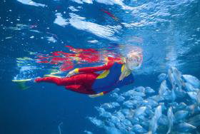 Outer Rocks Dive Site - Accommodation Burleigh 0