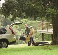 Great Bunya Drive