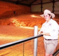 Dinosaurs and Opals Four Wheel Drive Track - Accommodation Burleigh