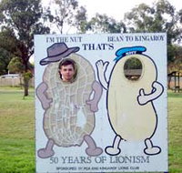 Kingaroy Lions Park - Accommodation Burleigh